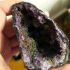 fossilover06461