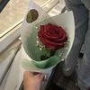 nouha_larbi3