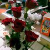 mariselavillanuev95