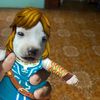 mamamacha6666