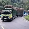 berkah sperpart 99
