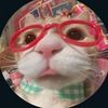 miau_miau_miau_miauuu_