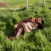 mhmadsamer2640