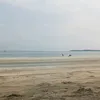 totoinsoyy