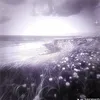 unluckysybau69