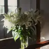 nhim_03_