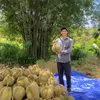zthanhtamz