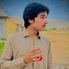 markhor.750