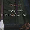 sheza_rajpoot80