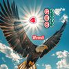 nomanjani5991