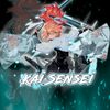 𝟐𝐑 Kaii Sensei.