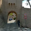 naniferrina
