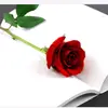 user8439160352994
