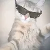 _deibuuuu_