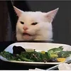 game.cat.77