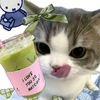 sukaaahijaumatcha