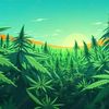 mister420allday
