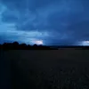 romashka_comeback