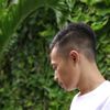dvltn101