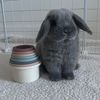 bunsandmello