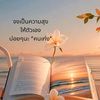 sun_naja7842