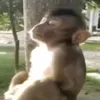 gusredemption