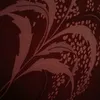 www.tiktok.notyou.com