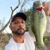 361bankfishing