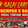 kaswady8082ddj