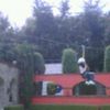 jcpelaez8