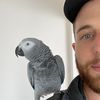 johndouglasnz
