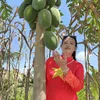 thuyoanh10020