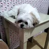 analizapamplega