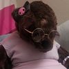 the_harpster