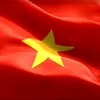vuongtranhello