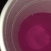 adan_6016