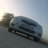 mounib1169