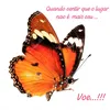 huldagomesprofit123gmail