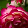 user9f5g28eqib