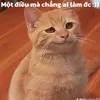 tieunhichota2voruou