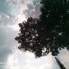 yumaza10
