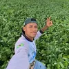 guilhermee_55