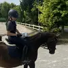 zuzii_eq