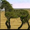 mohamed.ousman1