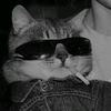 reyhan_ibrahim0