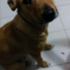 luispapi05
