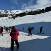 bbcelvin
