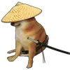 pacarkokgepenk0