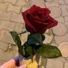 user2234817332908