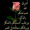 jsjp0iqz
